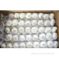 /msite/products/detail/productid/56325298/id/572588.html